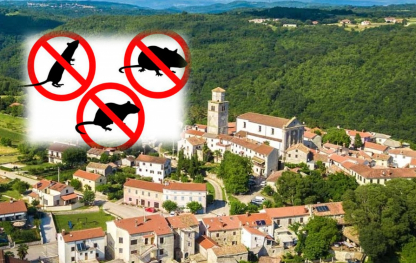 Na području Tinjana tijekom studenog provodit će se deratizacija POŠTUJTE PROPISANA PRAVILA!